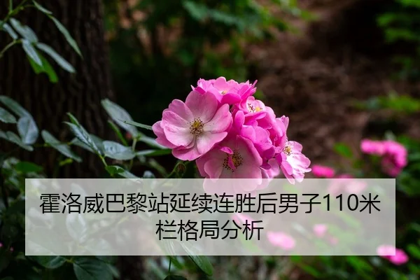 霍洛威巴黎站延续连胜后男子110米栏格局分析
